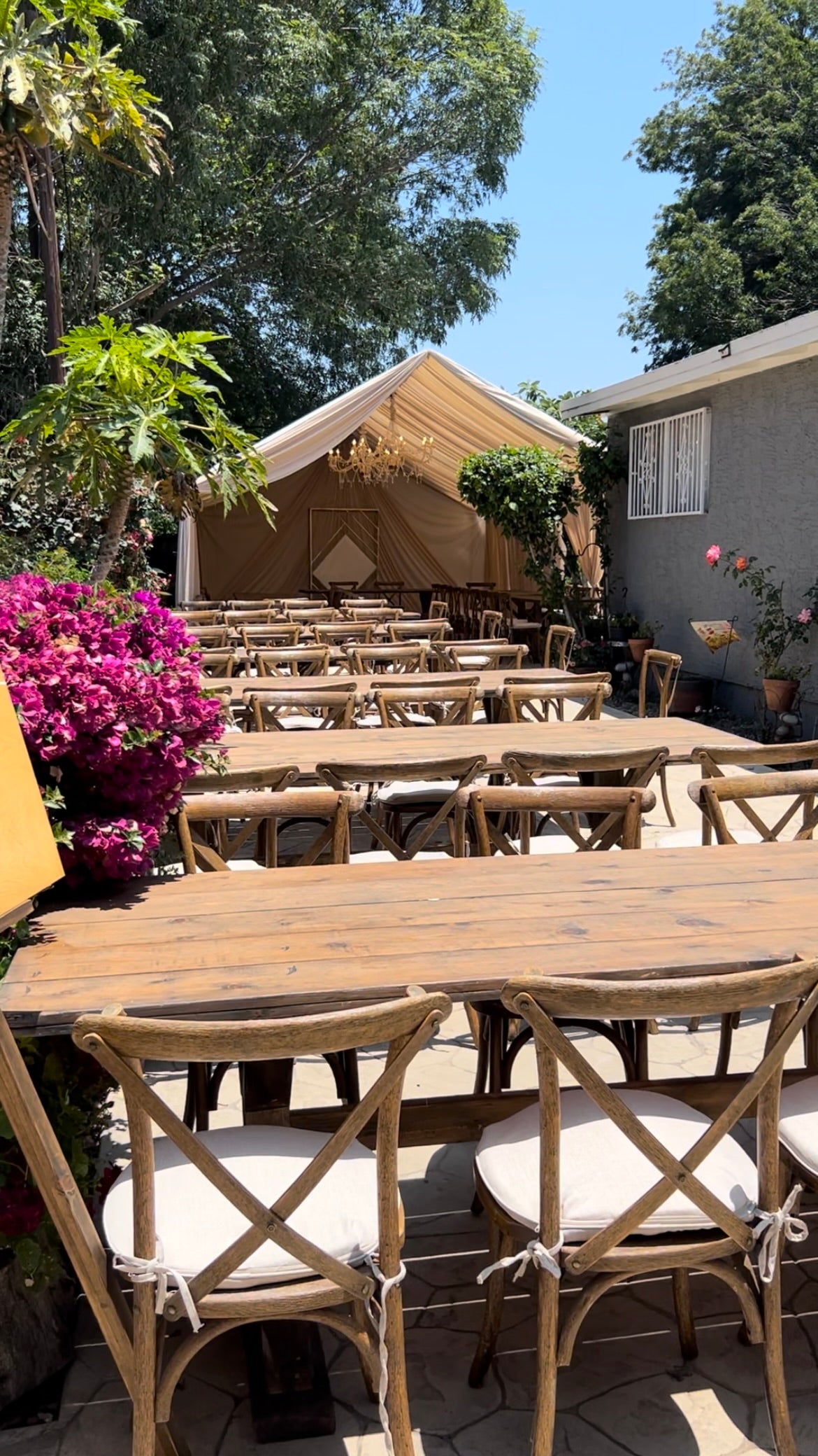 Chair Rentals- Party Rentals