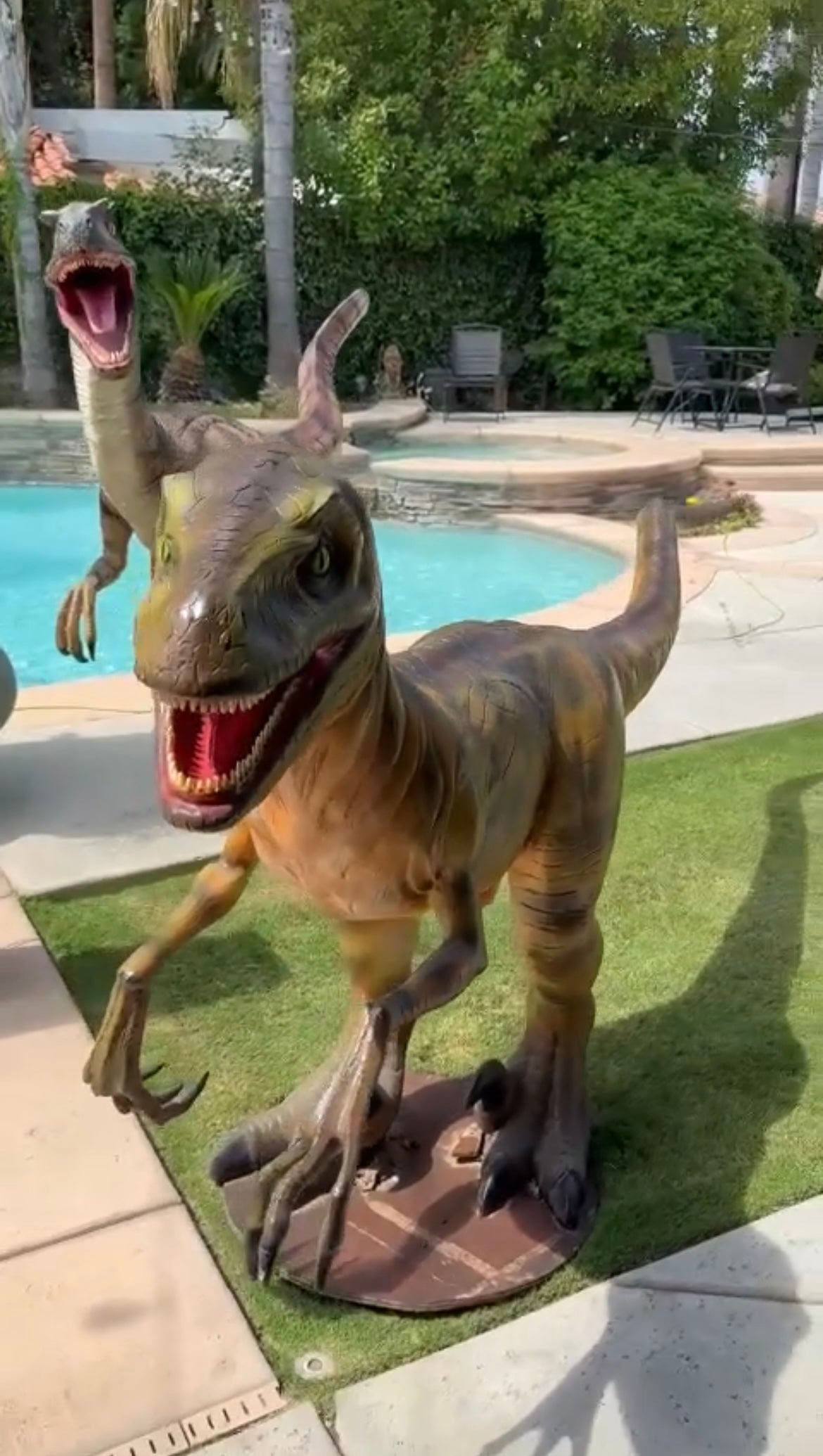 Dinosaur Party Package