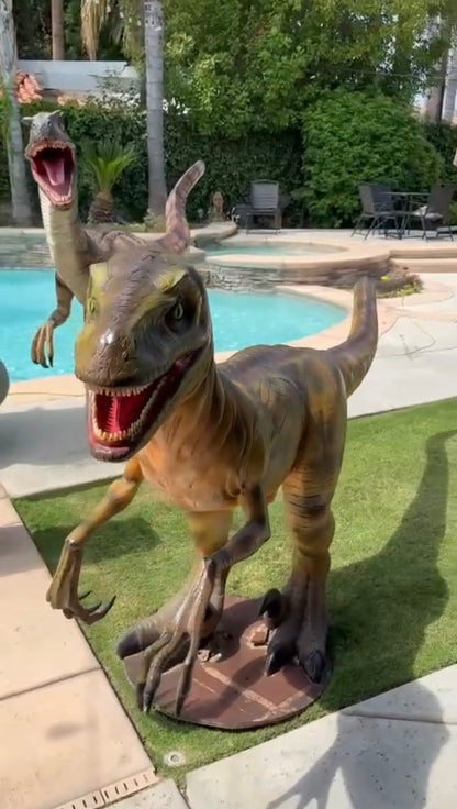 Dinosaur Party Package