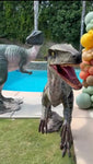 Dinosaur Party Package