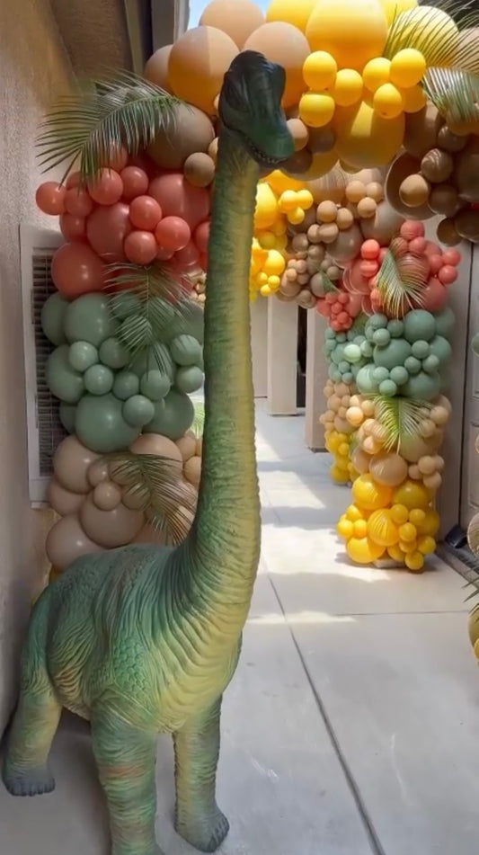 Dinosaur Party Package