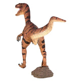 Brown Velociraptor Dinosaur Statue