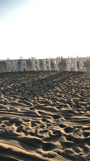 4ft Marquee Light up Letters- Marry Me